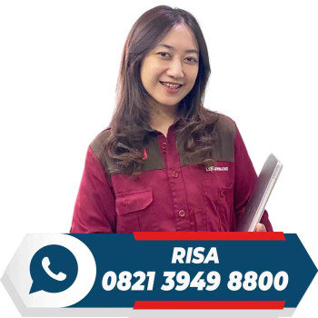 RISA